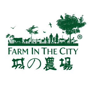 D13 FARM IN THE CITY